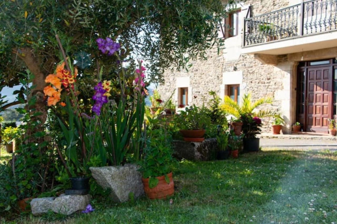 Vieiro Verde Dış mekan fotoğraf